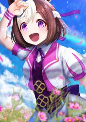 special week (umamusume) from umamusume