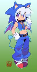 sonic the hedgehog from sonic (series)