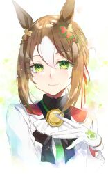 fine motion (umamusume) from umamusume