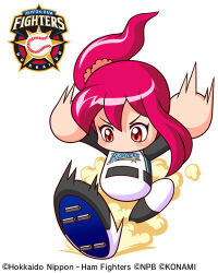 hokkaido nippon-ham fighters fan art
