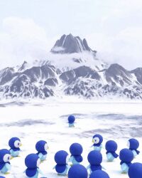 piplup from pokemon by rivalclay