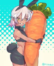 carole peppers from honkai (series)
