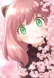 anya (spy x family) from spy x family