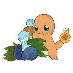 charmander from pokemon