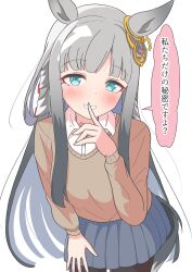 chrono genesis (umamusume) from umamusume