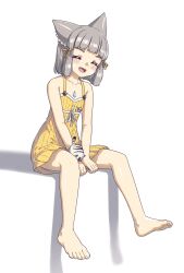 nia (xenoblade) from xenoblade chronicles (series)