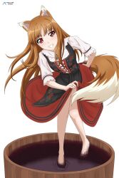 holo from spice and wolf