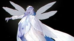 oberon (fate) from fate/grand order