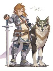 link from the legend of zelda by ivy (sena0119)