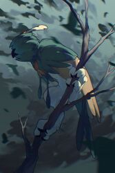 decidueye from pokemon by wulie errr
