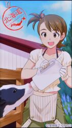 futami ami from idolmaster by inou shin