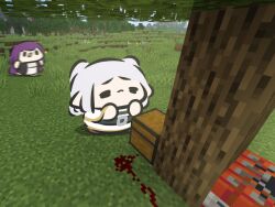 fern (sousou no frieren) from minecraft by superappleman