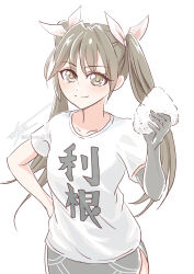 tone (kancolle) from kantai collection
