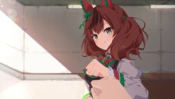 nice nature (umamusume) from umamusume