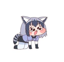 common raccoon (kemono friends) from kemono friends