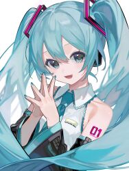 hatsune miku from vocaloid
