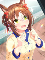 fine motion (umamusume) from umamusume