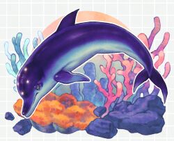 ecco the dolphin fan art