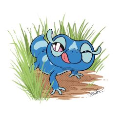 gecqua from pokemon