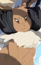 eevee from pokemon by olyester