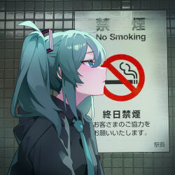 hatsune miku from vocaloid