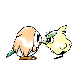 browt from pokemon
