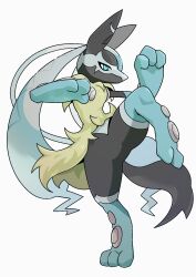 lucario from pokemon