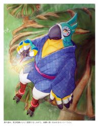 kass from the legend of zelda