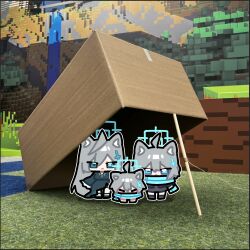 shiroko (blue archive) from blue archive