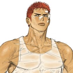 sakuragi hanamichi from slam dunk (series)