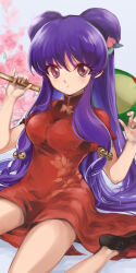 shampoo (ranma 1/2) from ranma 1/2 by atoshi