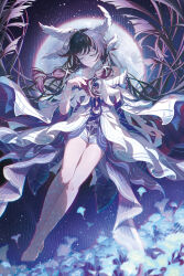 columbina (genshin impact) from genshin impact