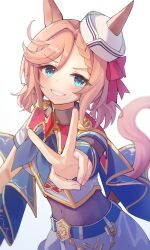 umamusume fan art