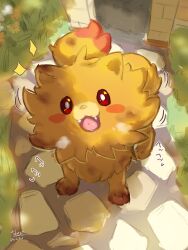pombon from pokemon
