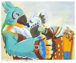 kass from the legend of zelda
