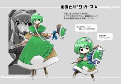torterra from pokemon