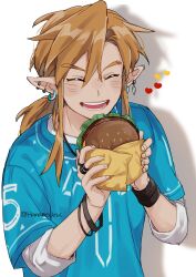 link from the legend of zelda