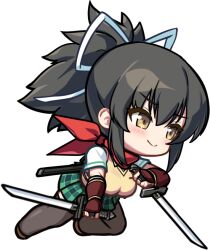 asuka (senran kagura) from senran kagura