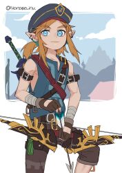link from the legend of zelda