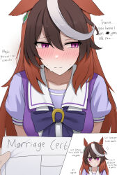 symboli rudolf (umamusume) from umamusume