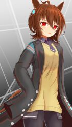 agnes tachyon (tach-nology) (umamusume) from umamusume