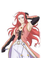 zelos wilder from tales of (series)