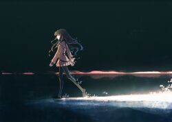 kishinami hakuno (female) from fate/extra