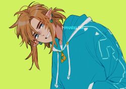 link from the legend of zelda