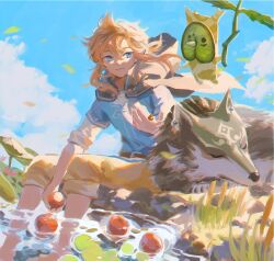 korok from the legend of zelda