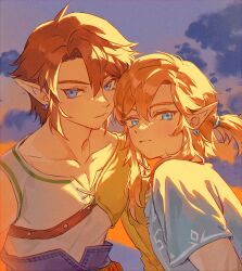 link from the legend of zelda