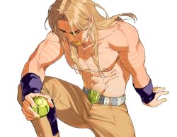 gyro zeppeli from jojo no kimyou na bouken