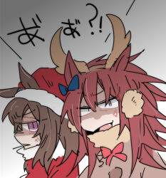 nakayama festa (umamusume) from christmas by beer hsk