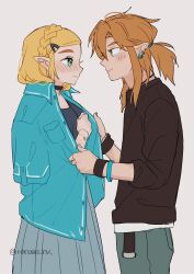 link from the legend of zelda