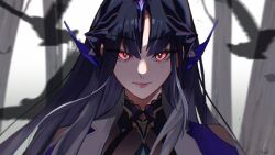 punishing: gray raven fan art